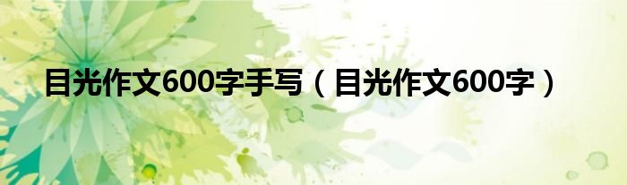 目光作文600字手写（目光作文600字）
