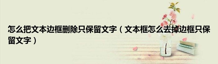 怎么把文本边框删除只保留文字（文本框怎么去掉边框只保留文字）