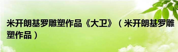 米开朗基罗雕塑作品《大卫》（米开朗基罗雕塑作品）