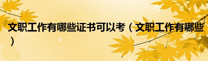文职工作有哪些证书可以考（文职工作有哪些）