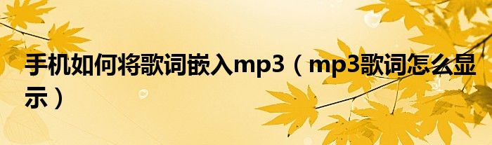 手机如何将歌词嵌入mp3（mp3歌词怎么显示）