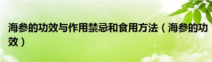 海参的功效与作用禁忌和食用方法（海参的功效）