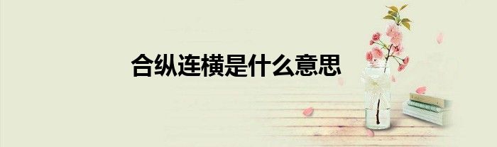 合纵连横是什么意思