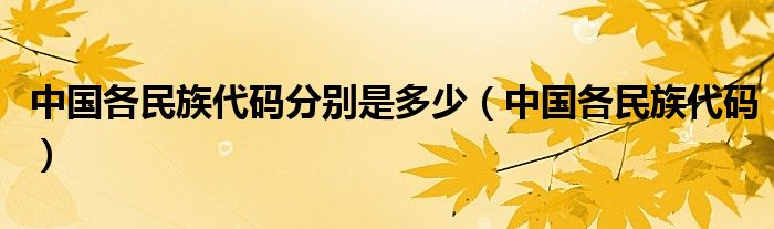 中国各民族代码分别是多少（中国各民族代码）