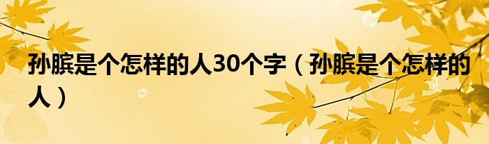 孙膑是个怎样的人30个字（孙膑是个怎样的人）