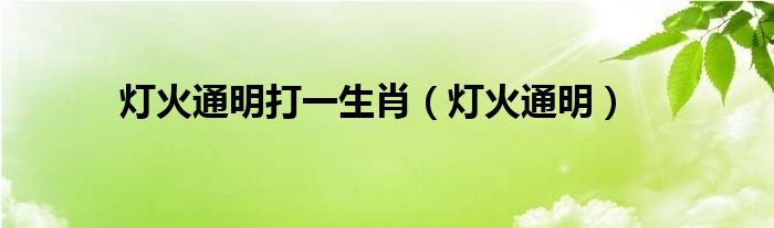 灯火通明打一生肖（灯火通明）