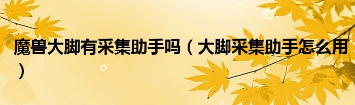 魔兽大脚有采集助手吗（大脚采集助手怎么用）
