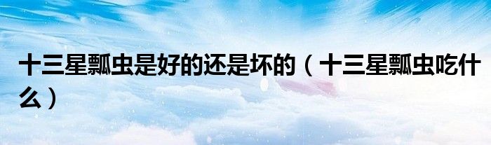 十三星瓢虫是好的还是坏的（十三星瓢虫吃什么）