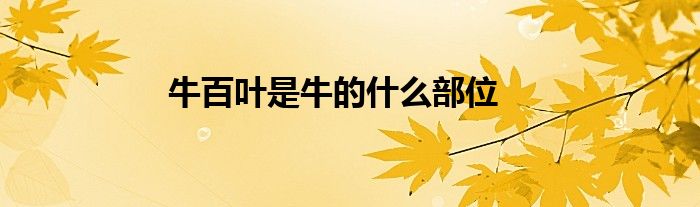 牛百叶是牛的什么部位