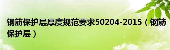 钢筋保护层厚度规范要求50204-2015（钢筋保护层）