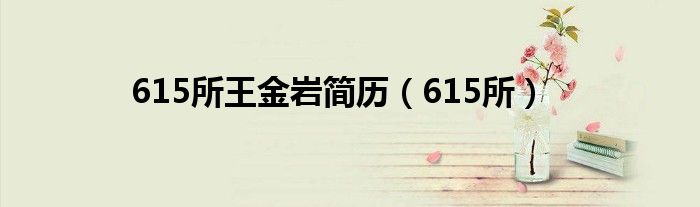 615所王金岩简历（615所）