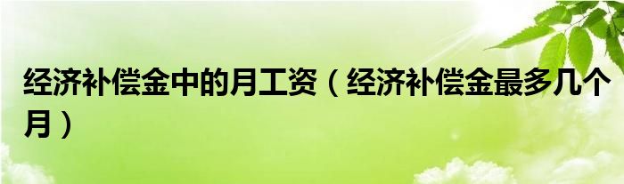 经济补偿金中的月工资（经济补偿金最多几个月）