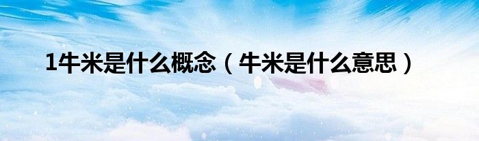 1牛米是什么概念（牛米是什么意思）