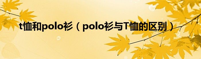 t恤和polo衫（polo衫与T恤的区别）