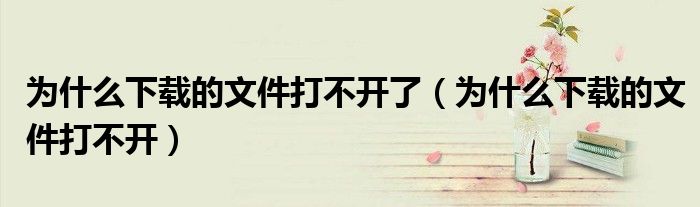 为什么下载的文件打不开了（为什么下载的文件打不开）