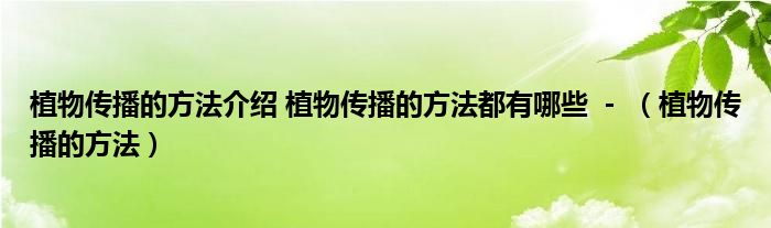 植物传播的方法介绍 植物传播的方法都有哪些  -  （植物传播的方法）