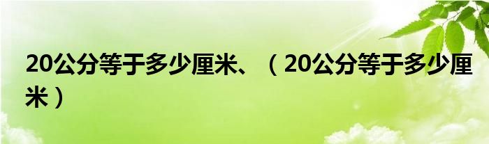 20公分等于多少厘米、（20公分等于多少厘米）