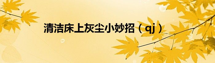 清洁床上灰尘小妙招（qj）