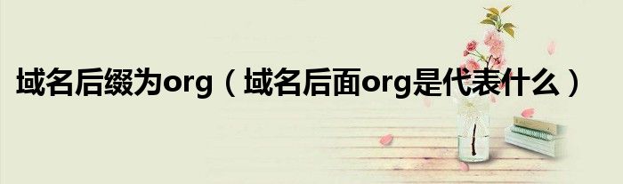 域名后缀为org（域名后面org是代表什么）