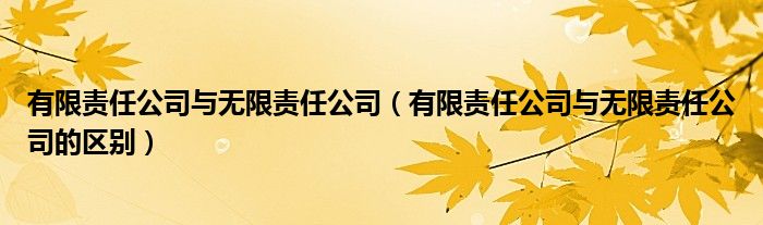 有限责任公司与无限责任公司（有限责任公司与无限责任公司的区别）