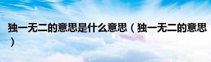 独一无二的意思是什么意思（独一无二的意思）
