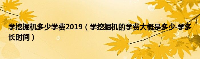 学挖掘机多少学费2019（学挖掘机的学费大概是多少 学多长时间）