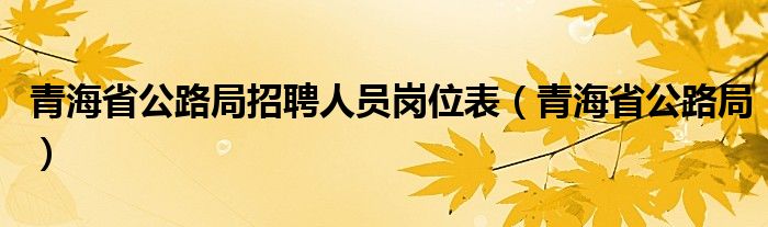 青海省公路局招聘人员岗位表（青海省公路局）