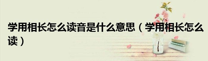 学用相长怎么读音是什么意思（学用相长怎么读）
