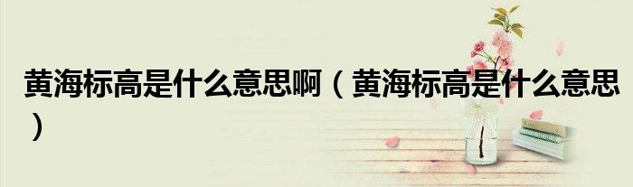 黄海标高是什么意思啊（黄海标高是什么意思）