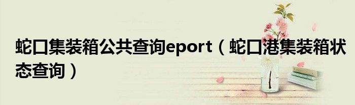 蛇口集装箱公共查询eport（蛇口港集装箱状态查询）