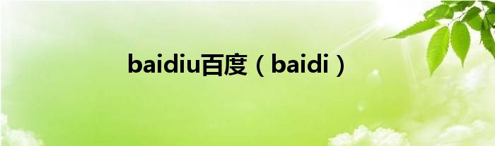 baidiu百度（baidi）