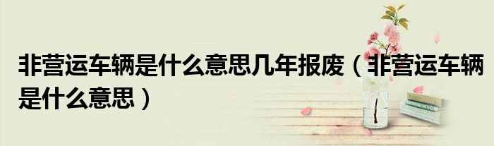非营运车辆是什么意思几年报废（非营运车辆是什么意思）