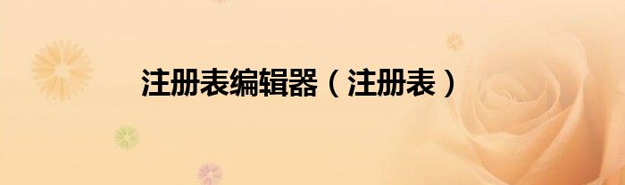 注册表编辑器（注册表）