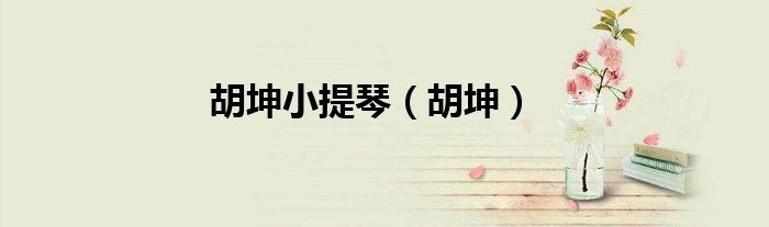 胡坤小提琴（胡坤）