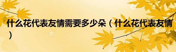 什么花代表友情需要多少朵（什么花代表友情）
