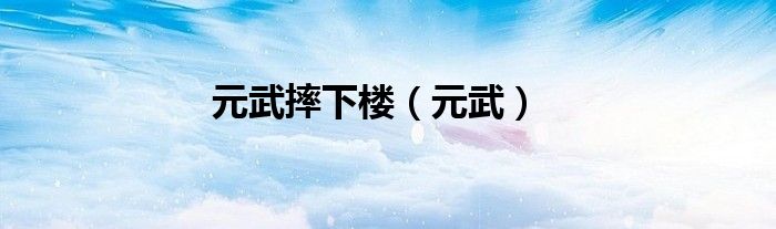 元武摔下楼（元武）