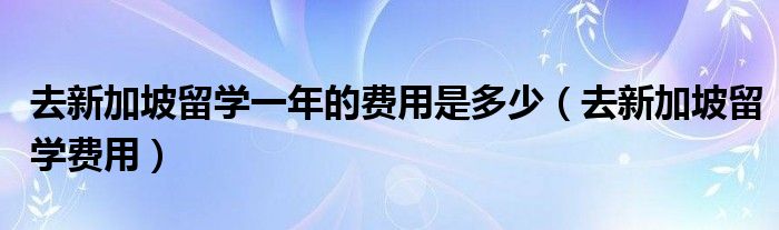 去新加坡留学一年的费用是多少（去新加坡留学费用）