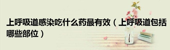 上呼吸道感染吃什么药最有效（上呼吸道包括哪些部位）