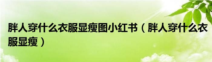 胖人穿什么衣服显瘦图小红书（胖人穿什么衣服显瘦）