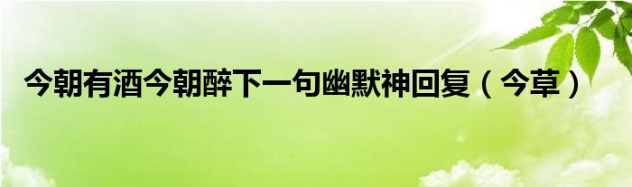 今朝有酒今朝醉下一句幽默神回复（今草）