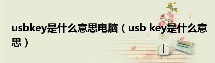 usbkey是什么意思电脑（usb key是什么意思）