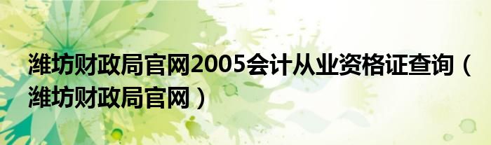 潍坊财政局官网2005会计从业资格证查询（潍坊财政局官网）
