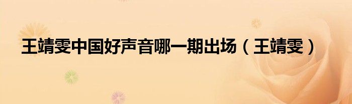 王靖雯中国好声音哪一期出场（王靖雯）