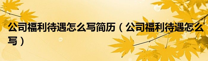 公司福利待遇怎么写简历（公司福利待遇怎么写）