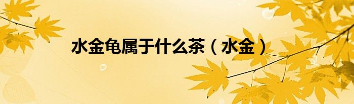水金龟属于什么茶（水金）