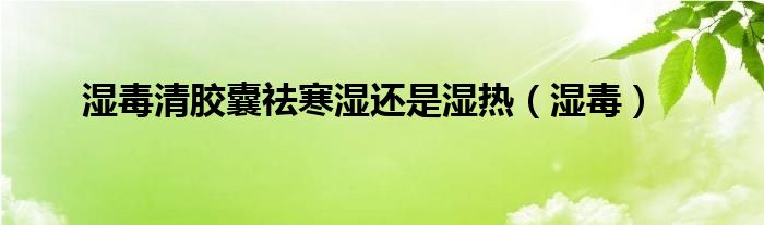 湿毒清胶囊祛寒湿还是湿热（湿毒）