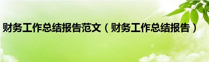 财务工作总结报告范文（财务工作总结报告）