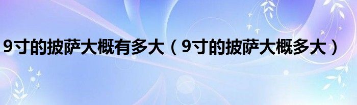 9寸的披萨大概有多大（9寸的披萨大概多大）