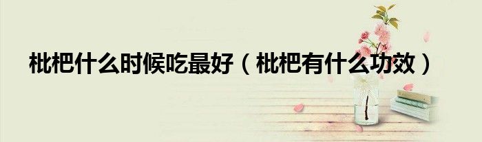 枇杷什么时候吃最好（枇杷有什么功效）