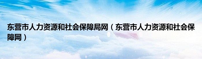 东营市人力资源和社会保障局网（东营市人力资源和社会保障网）